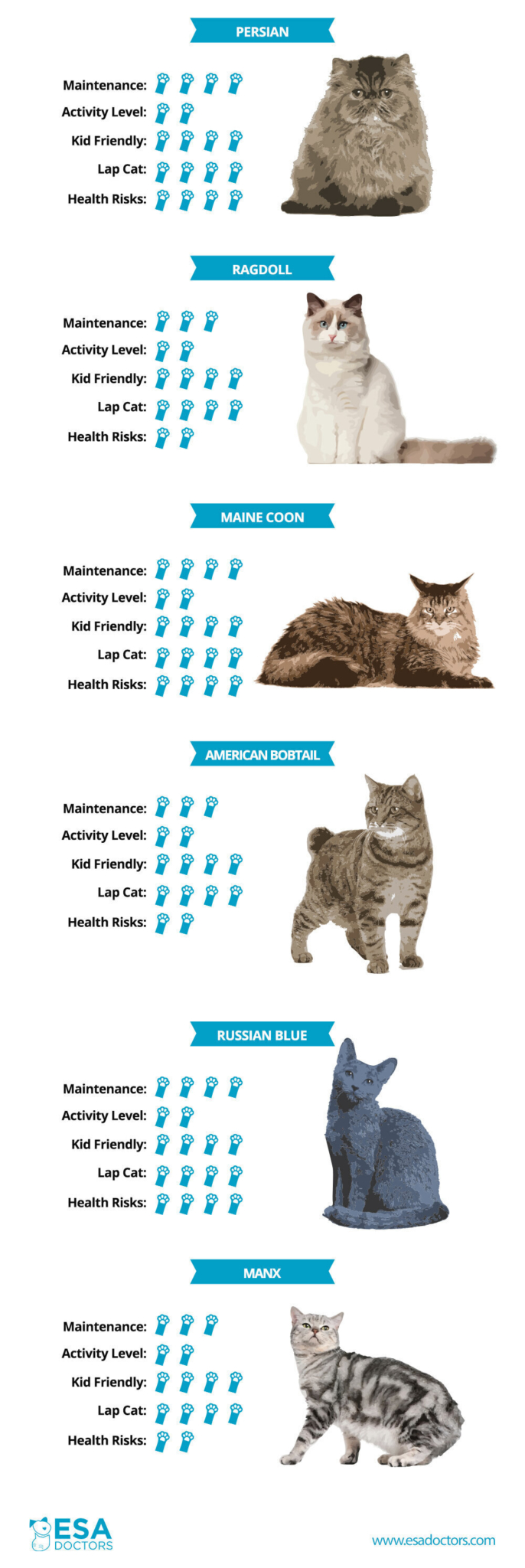 Best emotional support cat breeds infographic.