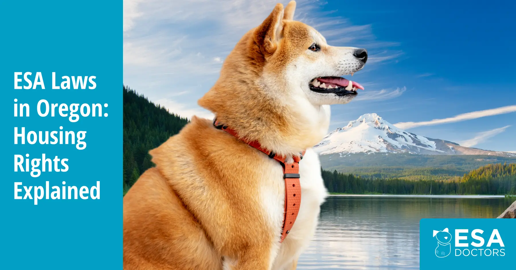 How to get an Emotional Support Animal in Oregon