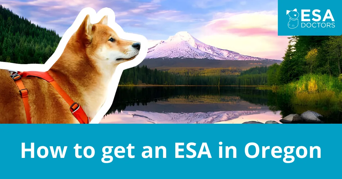 How to get an Emotional Support Animal in Oregon