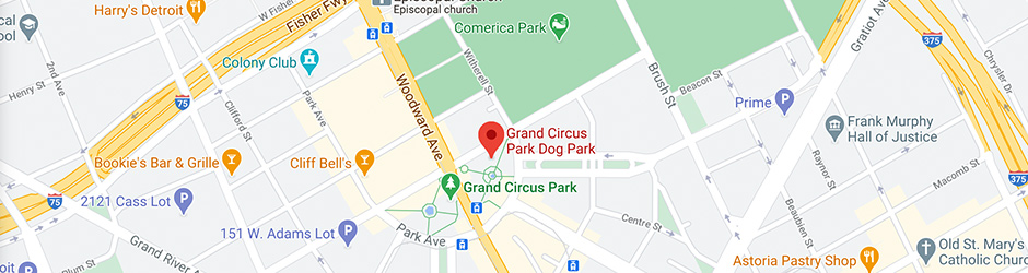 Grand Circus Dog Park, Detroit, Michigan