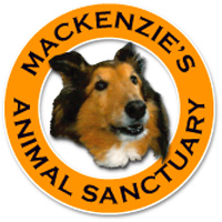 Mackenzies Animal Shelter, Michigan