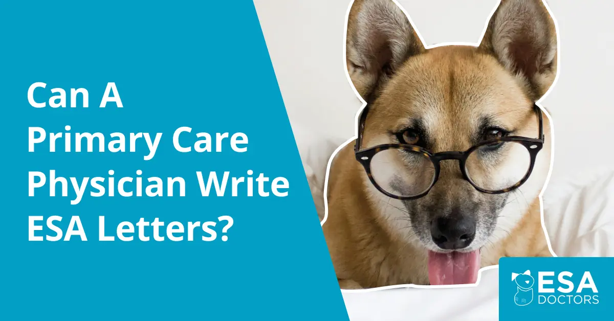 Can A Primary Care Physician Write an ESA Letter?