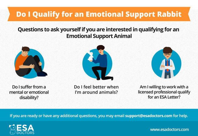 How to qualify for an ESA rabbit infographic. 