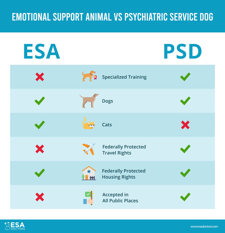 Emotional Support Animal vs. Psychiatric Service Dog infographic.