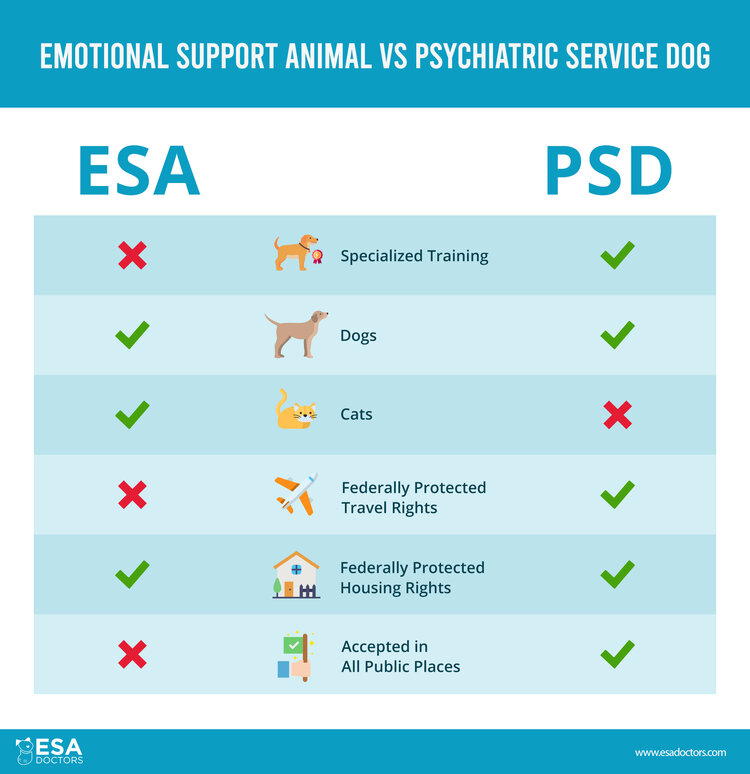 How To Get An ESA In Wyoming ESA Doctors