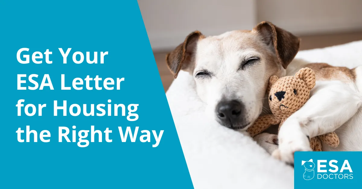 How to Get an ESA Letter for Housing the Right Way