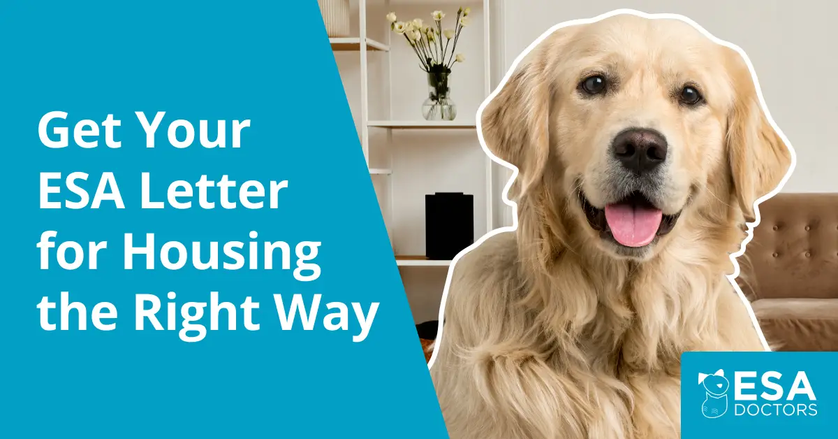 How to Get an ESA Letter for Housing the Right Way