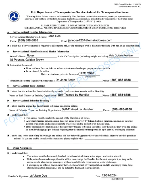 Completed DOT Form example - For Illustrative Purposes Only