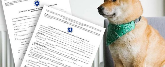 How to Fly with a Service Dog Using the DOT’s Service Animal Air Transportation Form - ESA Doctors