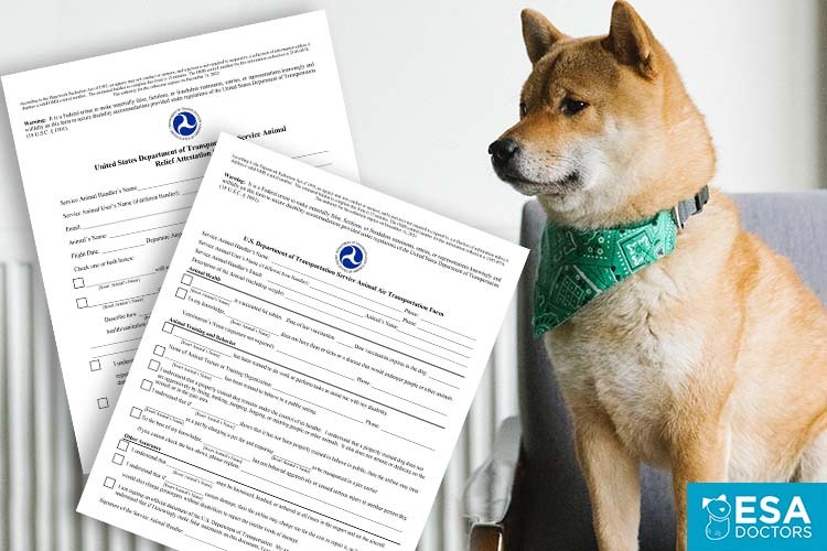 How to Fly with a Service Dog Using the DOT's Service Animal Air  Transportation Form - ESA