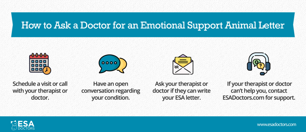 how to ask a doctor for an emotional support animal letter esa doctors