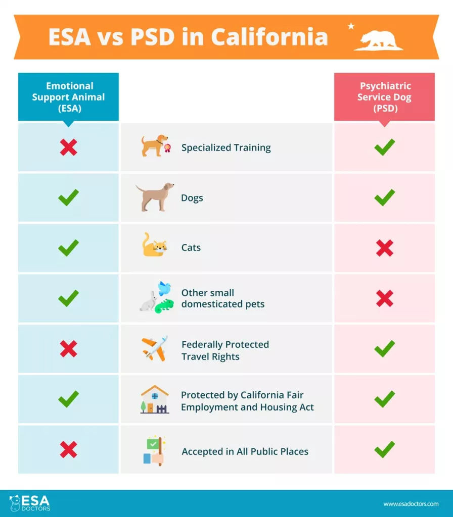 California Emotional Support Animal Laws 2025 - Lindy Petrina