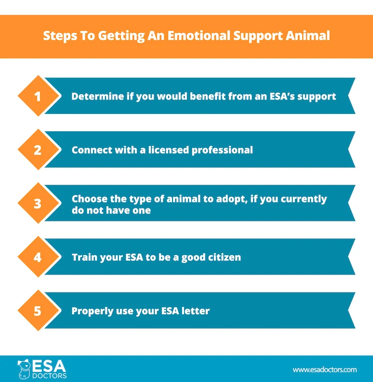 How to Get an Emotional Support Animal - ESA Doctors