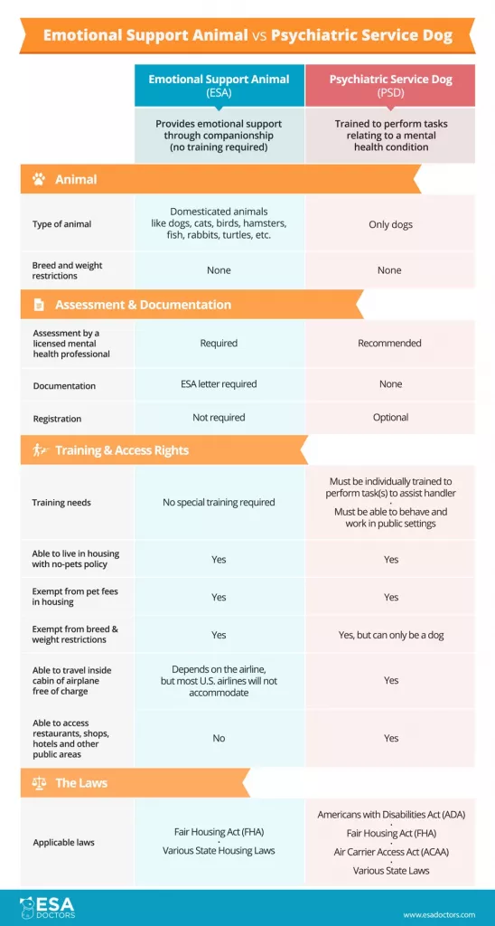 Emotional support animal vs Psychiatric service dog - Infographic