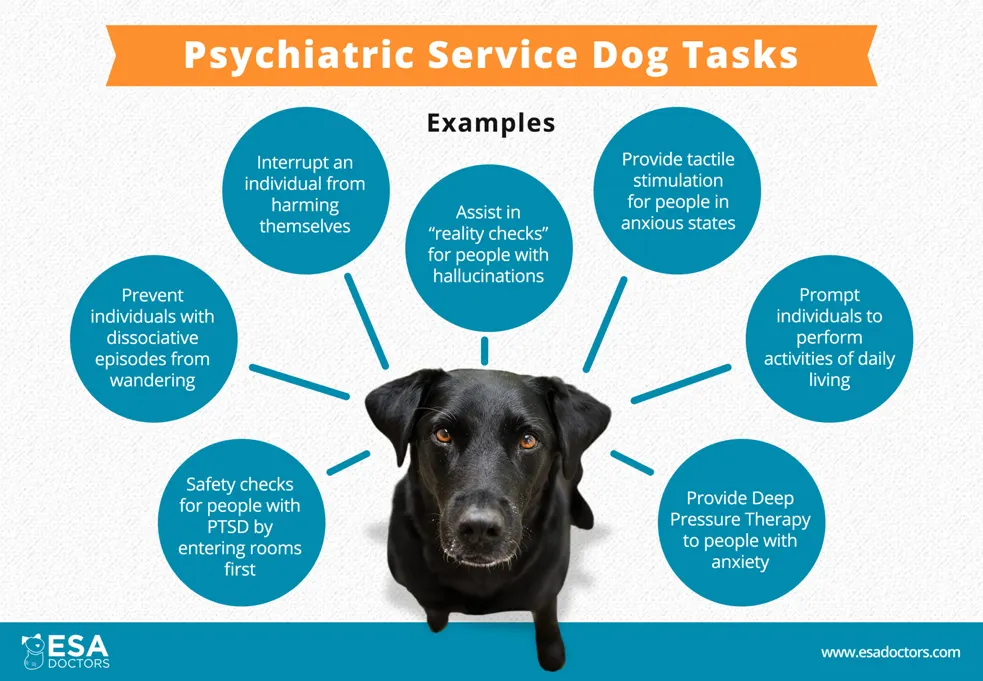 Psychiatric Service Dog Tasks Examples - Infographic - ESADoctors