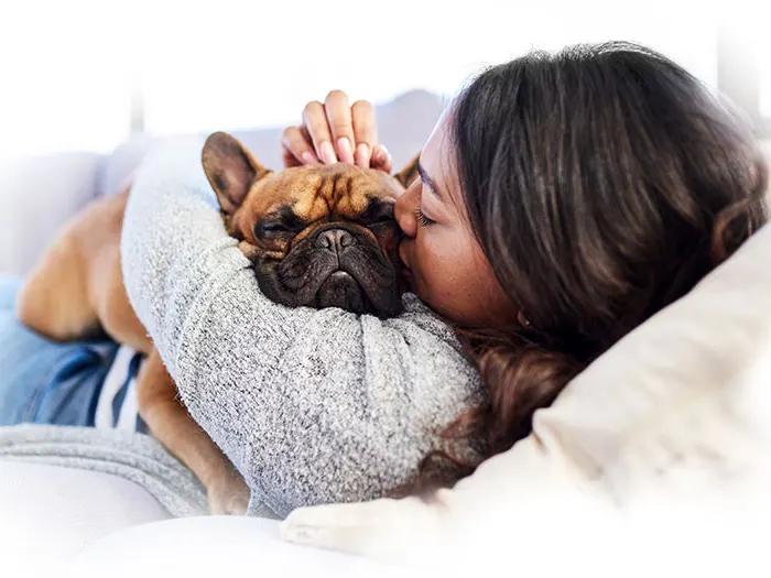 Qualify For An Emotional Support Animal Esa Doctors