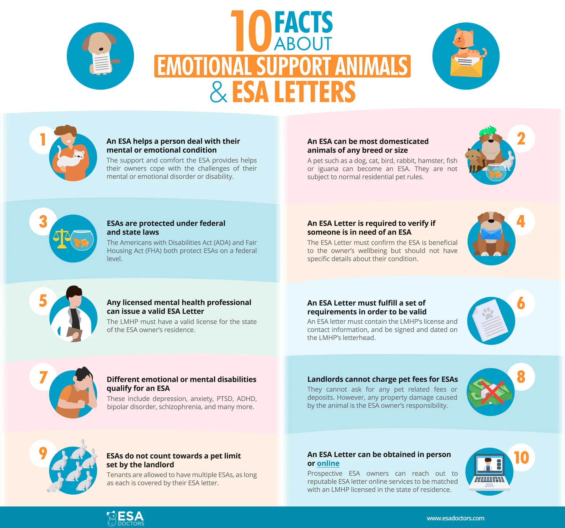 10 Facts about ESA and ESA Letters - Infographic - ESA Doctors