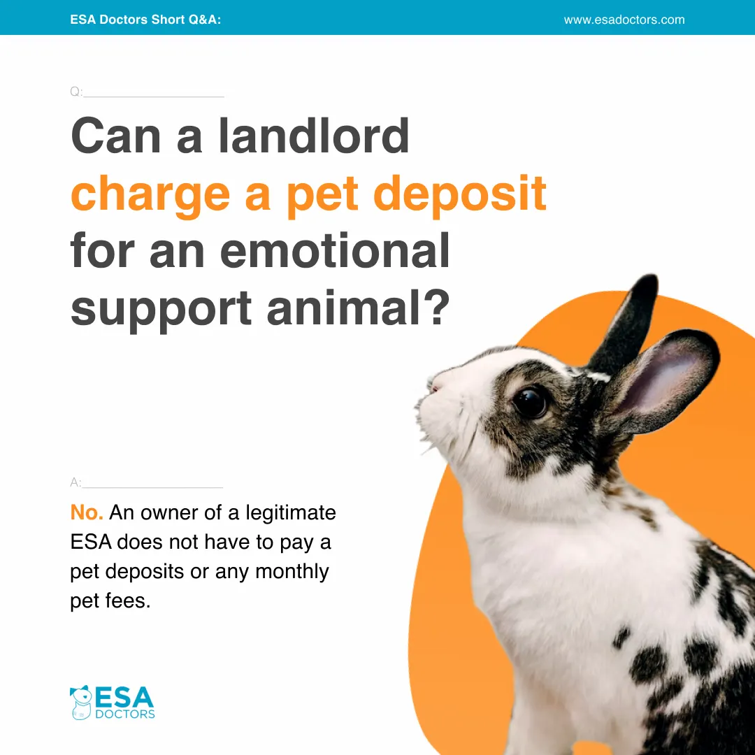 Can A Landlord Charge A Pet Deposit For An Emotional Support Animal