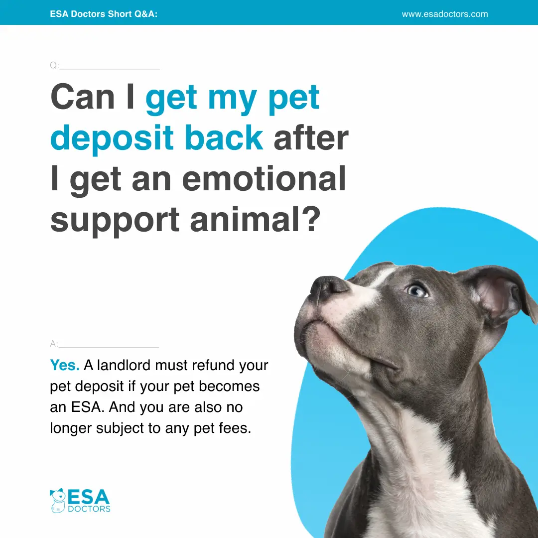 Can I get my pet deposit back after I get an emotional support animal?
