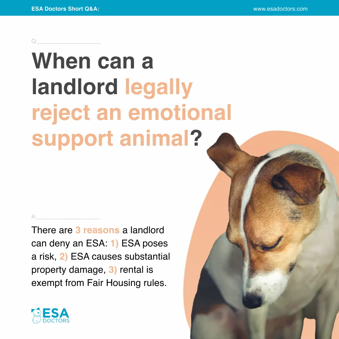 When Can a Landlord Legally Reject an Emotional Support Animal?