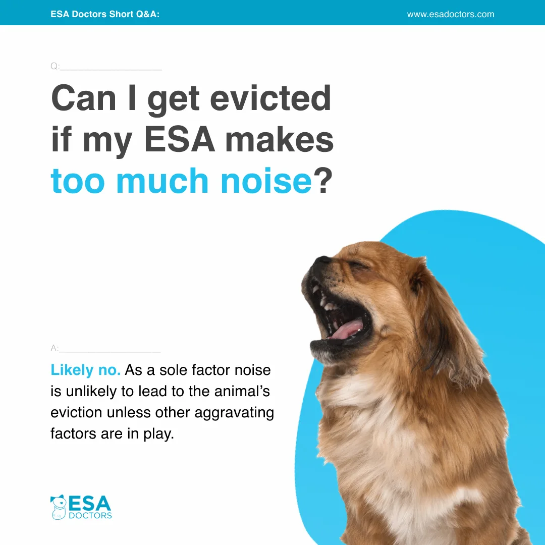 Can You Get Evicted if Your ESA Makes Too Much Noise?