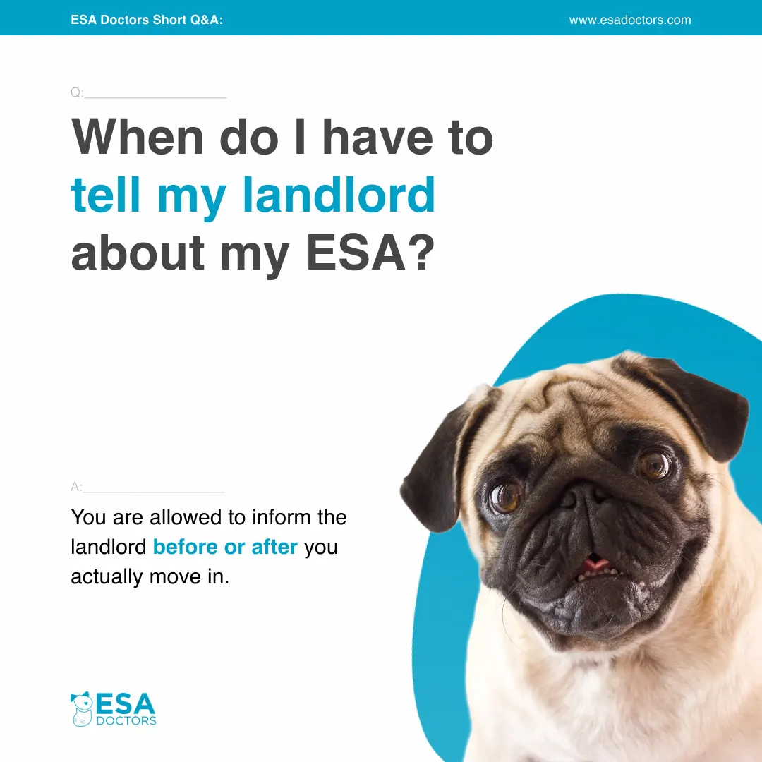 When do I have to tell my landlord about my ESA? - ESA Doctors