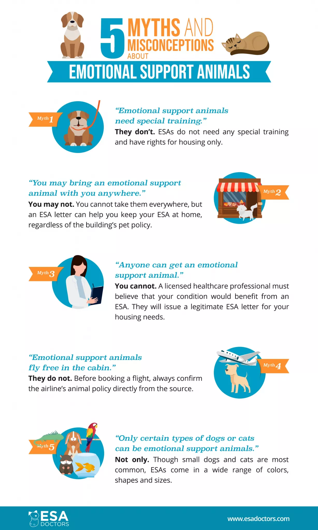5 Myths and Misconceptions About Emotional Support Animals - ESA Doctors