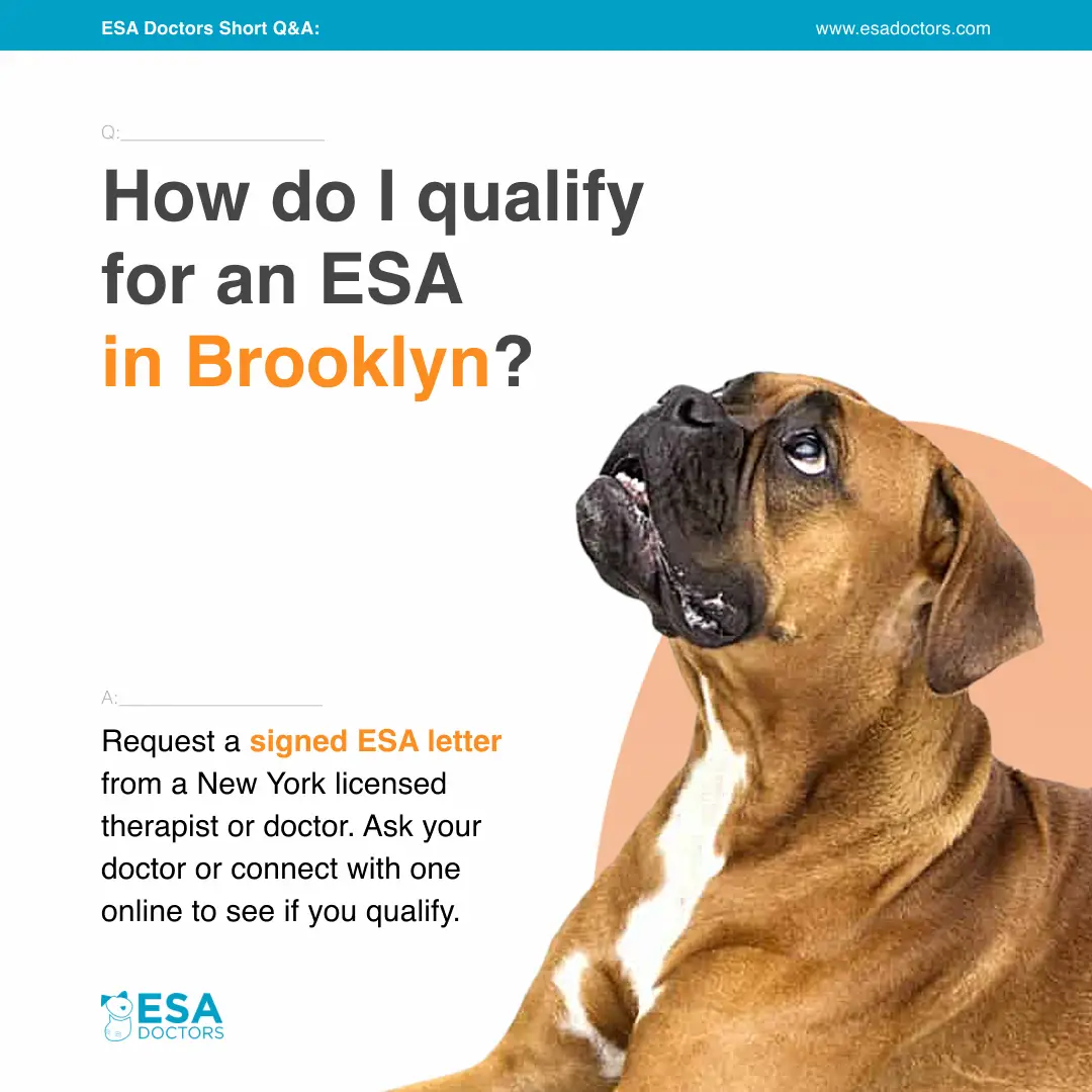How do I qualify for an ESA in Brooklyn?
