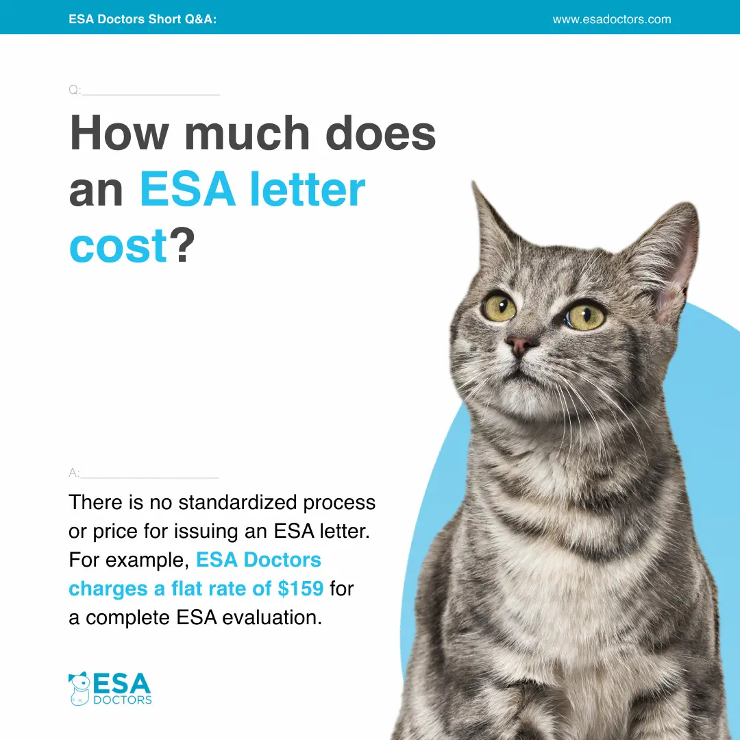 How much does an ESA letter cost? - ESA Doctors