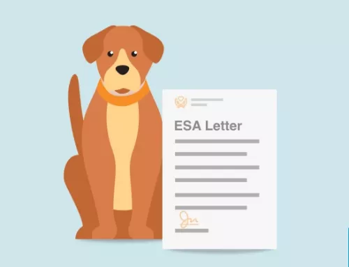 What Do I Say When Asking For An ESA Letter?