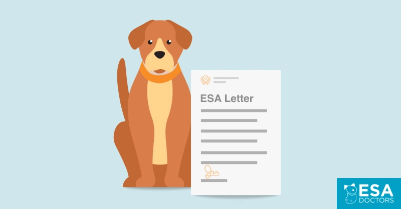 What Do I Say When Asking For An ESA Letter?