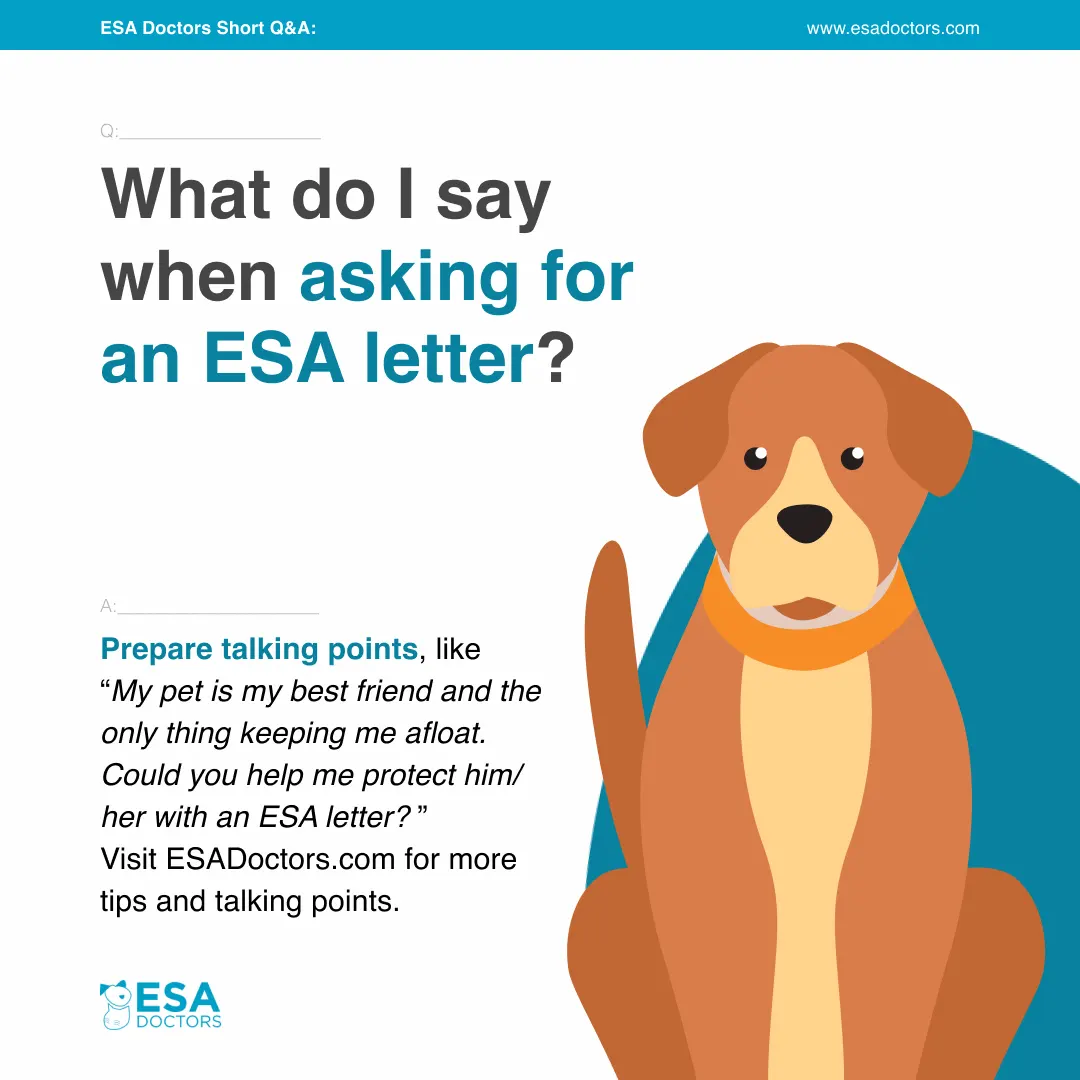 What Do I Say When Asking For An ESA Letter? - Prepare talking points.