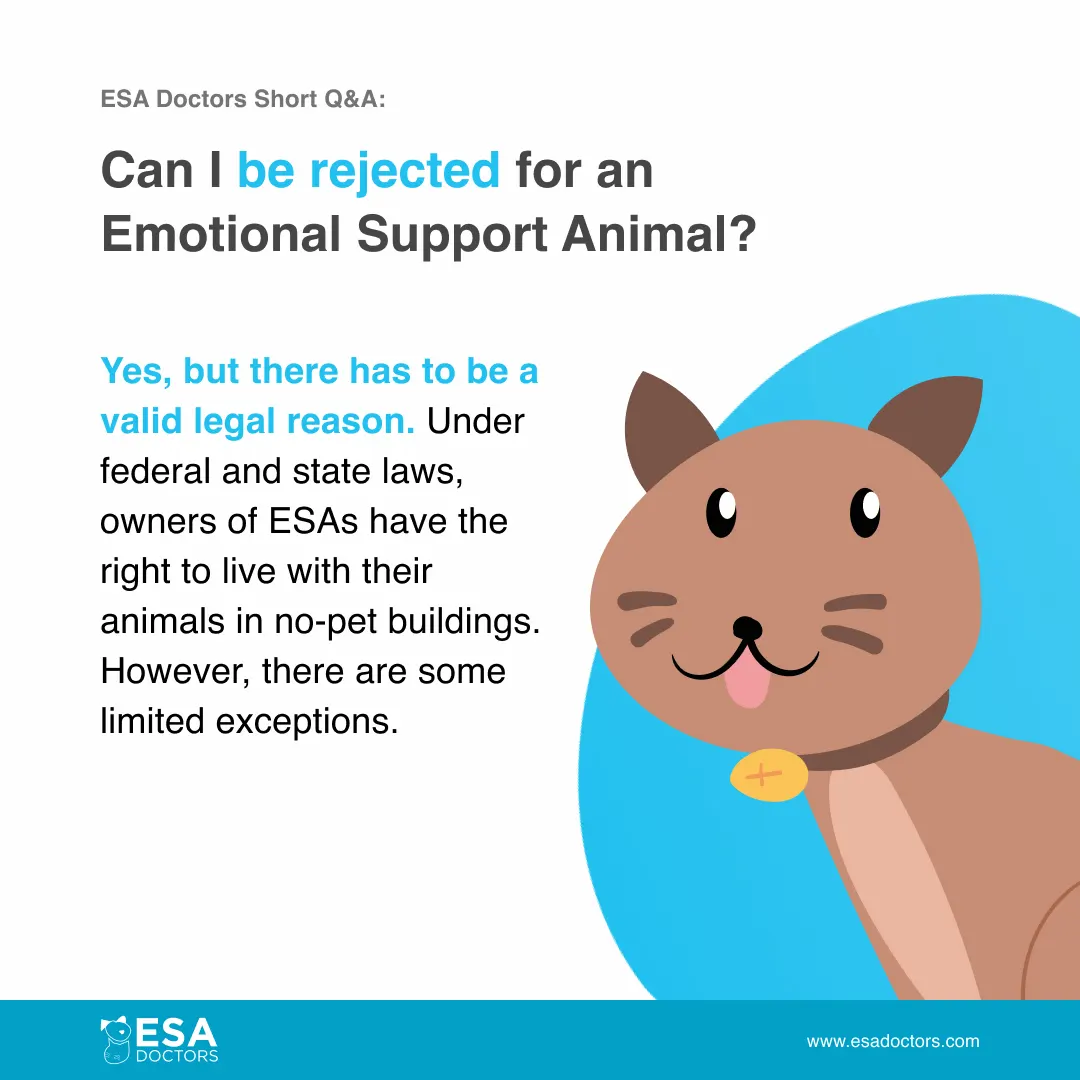 Can you be rejected for an Emotional Support Animal?