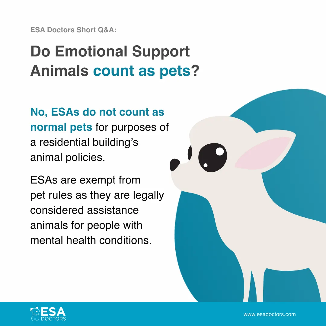 Do Emotional Support Animals count as pets?