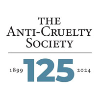 Anti-Cruelty Society shelter Chicago