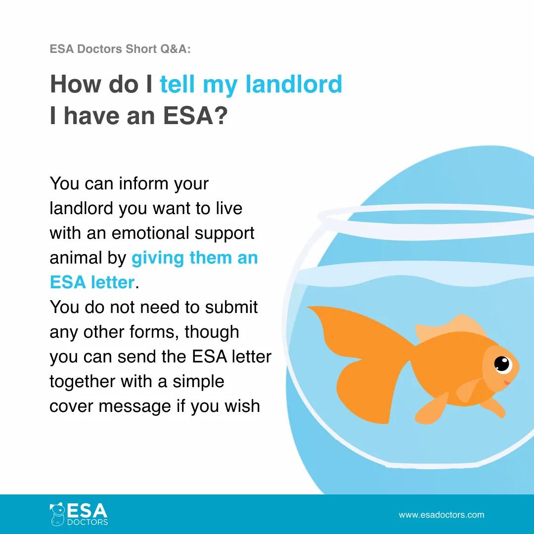 How do I tell my landlord I have an ESA? - Infographic