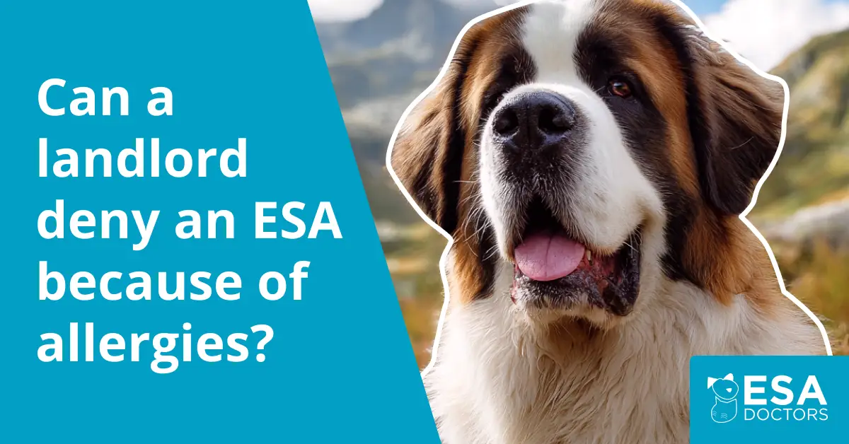 Can a landlord deny an Emotional Support Animal because of allergies?