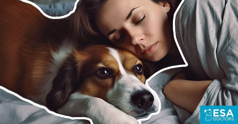 How To Get A Psychiatric Service Dog For Depression ESA Doctors