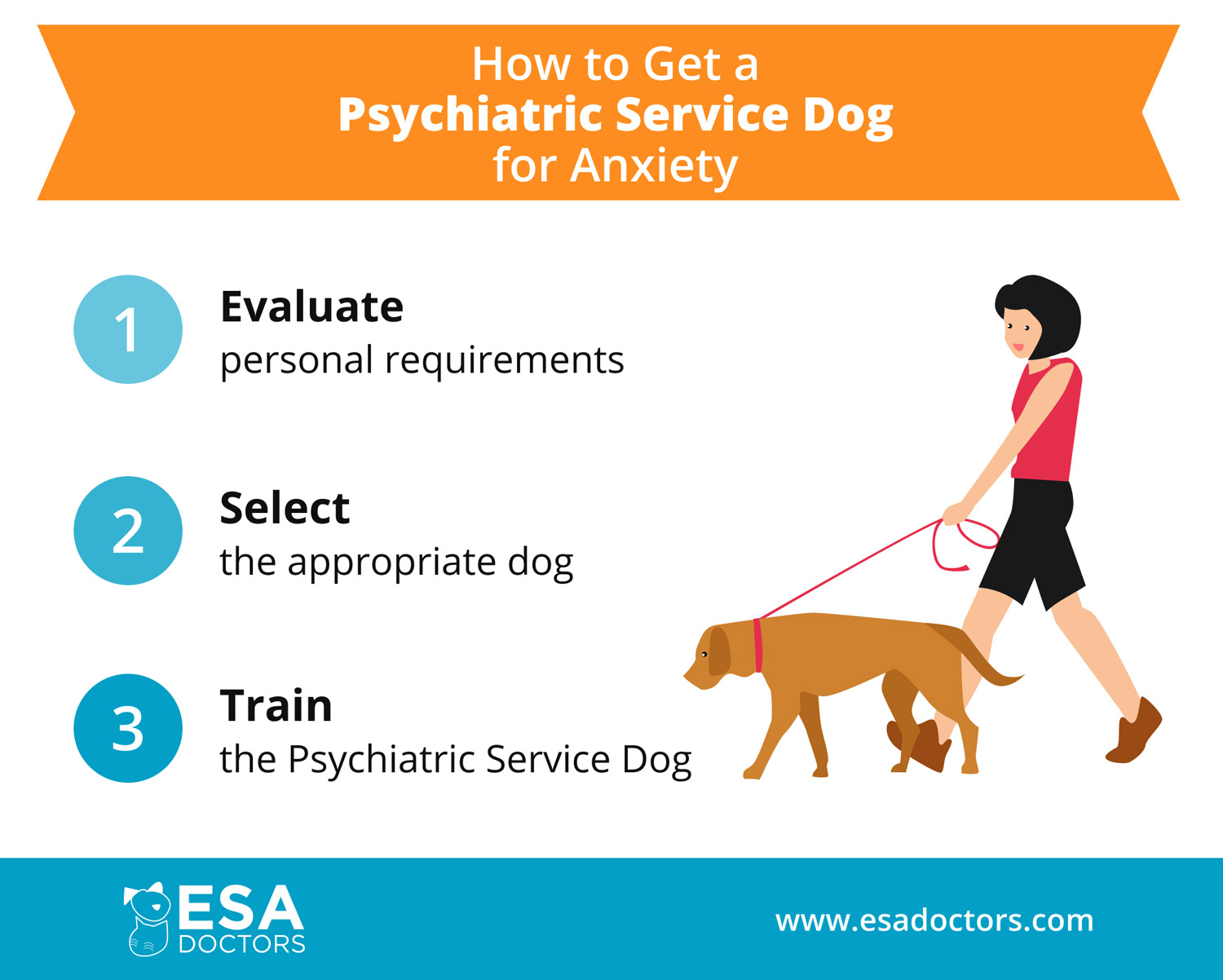 To get a PSD for anxiety, evaluate personal requirements, select dog and train dog