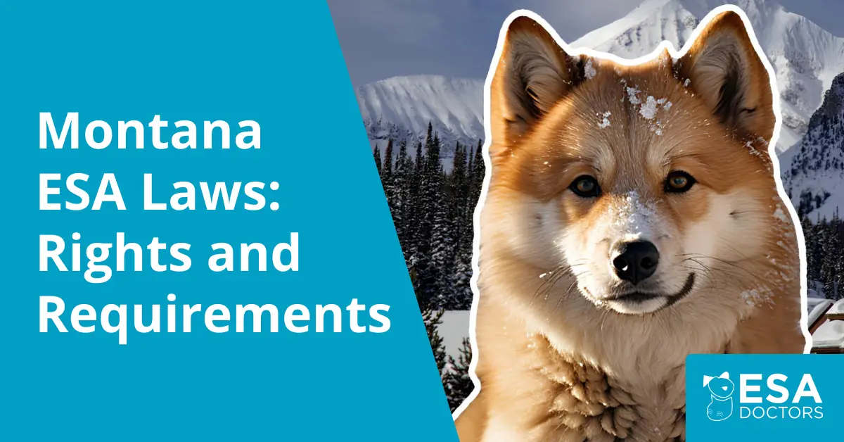 Montana Emotional Support Animal Laws