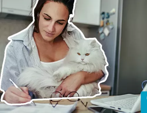 How Many Emotional Support Animals Can You Have ESA Doctors