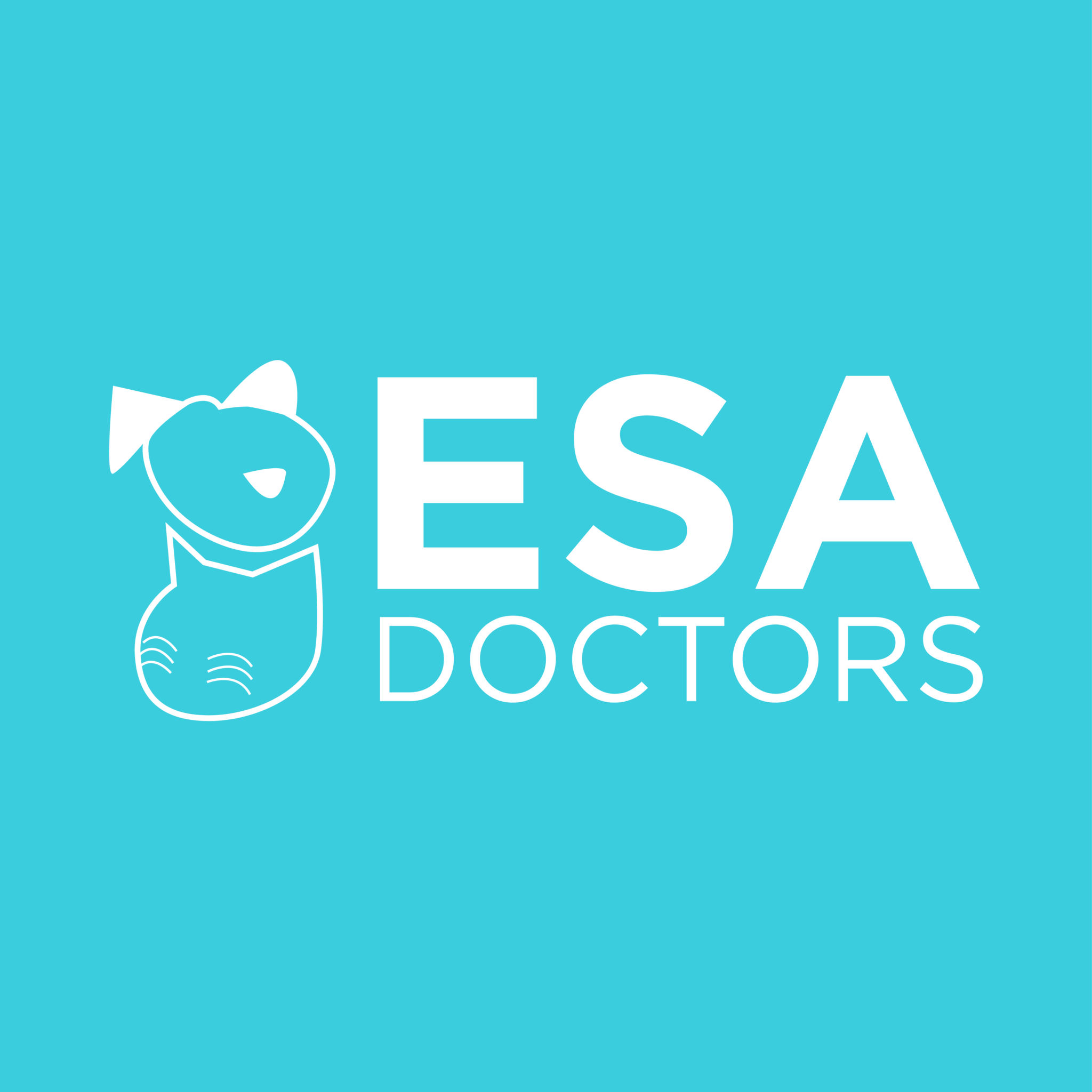 ESA Letter Template For Healthcare Professionals ESA Doctors