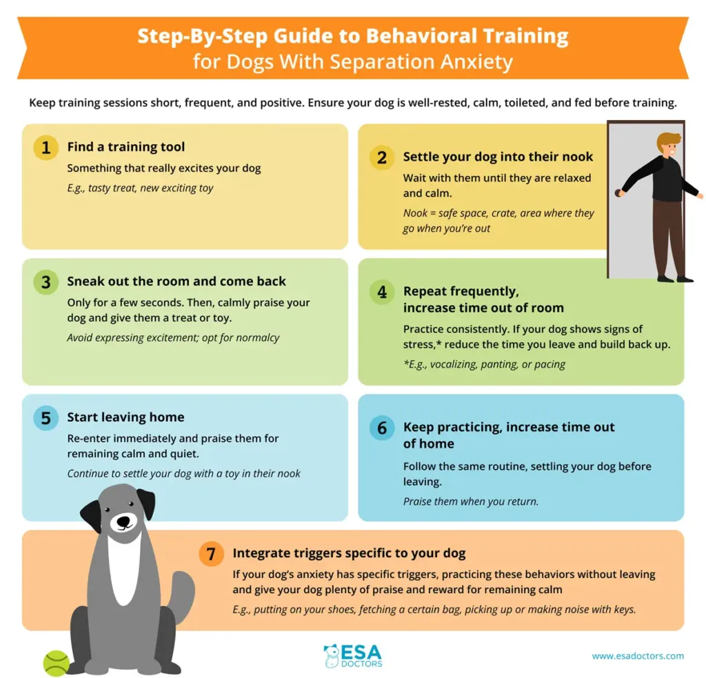 Behavioral Modification for Dogs with Separation Anxiety