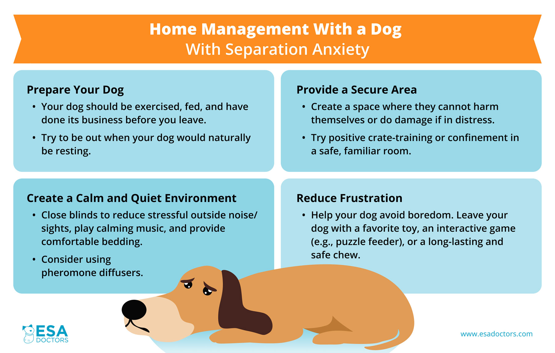 How to Ease Your Dog s Separation Anxiety