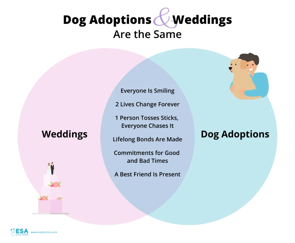 Dog Adoptions and Weddings Are The Same (Venn Diagram)