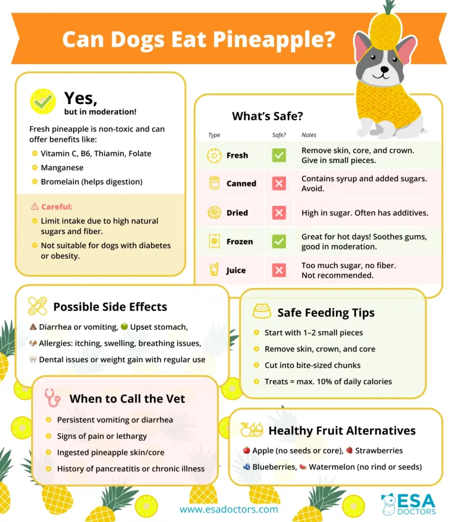 Can Dogs Eat Pineapple?