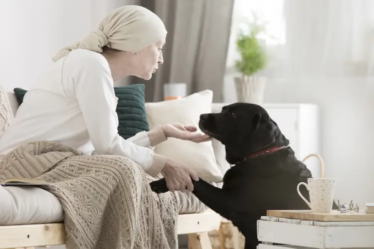 A service dog assisting their handler at home