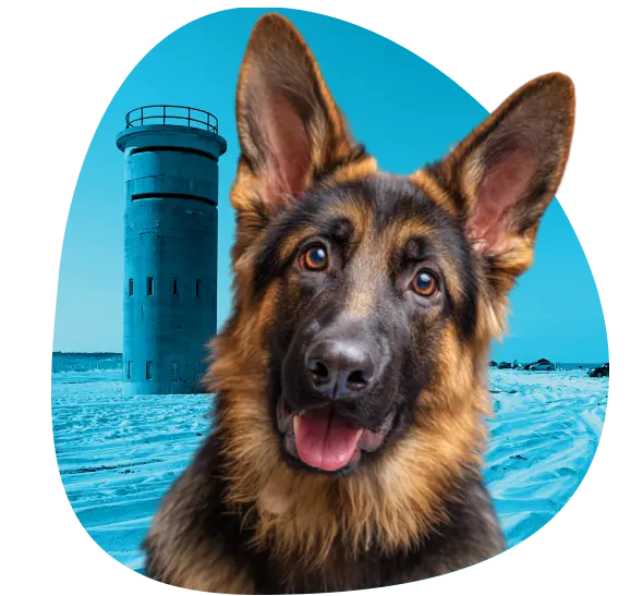 Get an ESA Letter in Delaware