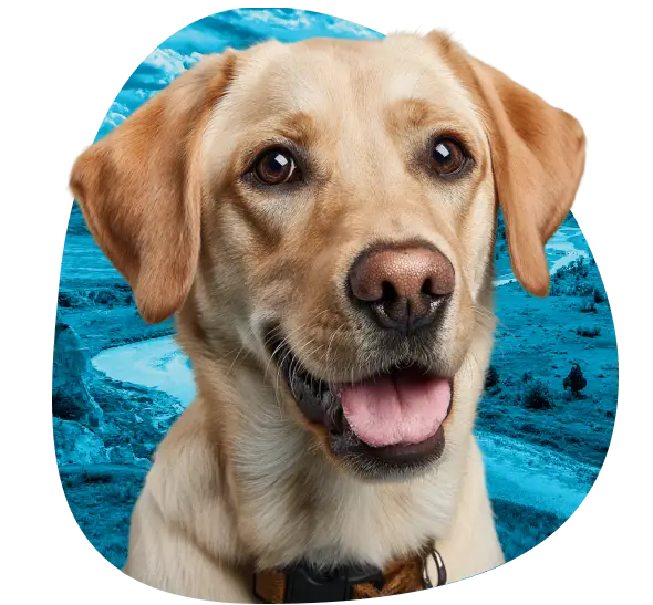 Get an ESA Letter in North Dakota