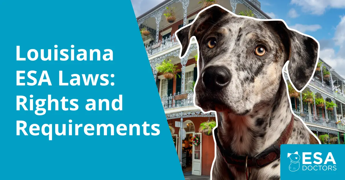 Louisiana Emotional Support Animal Laws